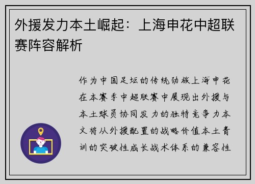 外援发力本土崛起：上海申花中超联赛阵容解析