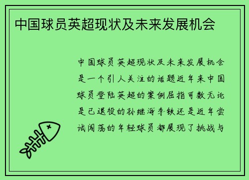 中国球员英超现状及未来发展机会
